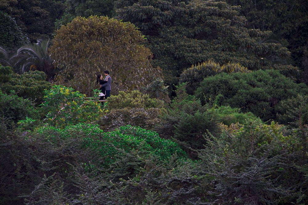 Workshop Fotografía de Bodas