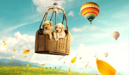 PhotoShop Andrés Guerrero