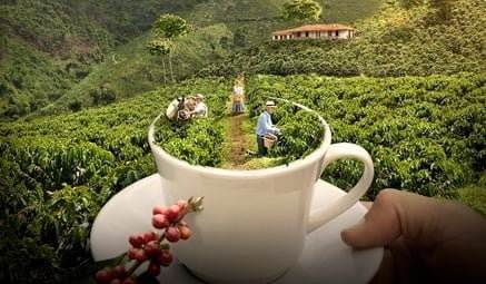 PhotoShop Andrés Guerrero