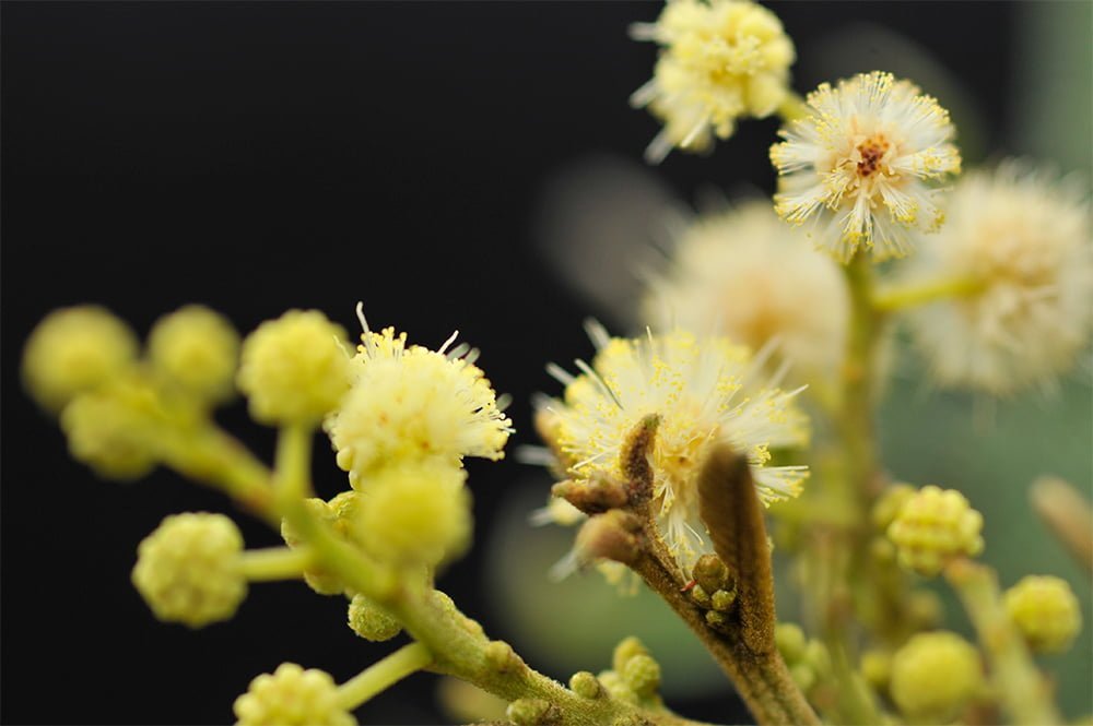 Villa de Leyva – Estudiante Zona Cinco