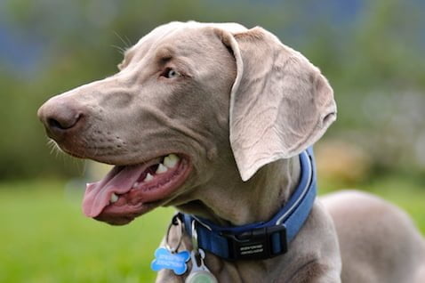 Estudiante Zona Cinco