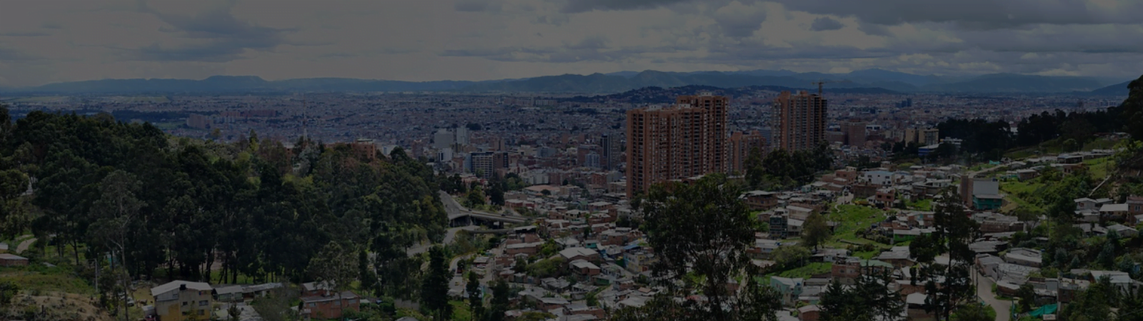 Bogotá en el mundo, ganadores de la convocatoria
