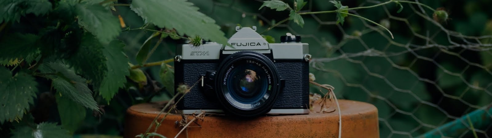 Concurso de fotografía: La felicidad a través de la alimentación